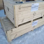 IMG-20220302-WA0003